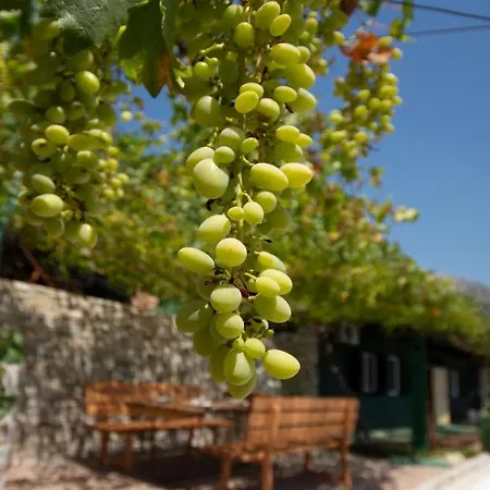 Relax Apartment Marusici (Split-Dalmatia)