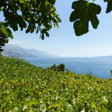 Relax Marusici (Split-Dalmatia)