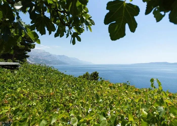 Relax Marusici (Split-Dalmatia)